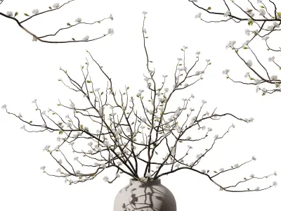 Dry Flower Branche Bouquet 3D model