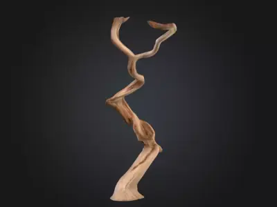 Twisting Elegance Wood Low-poly 3D model