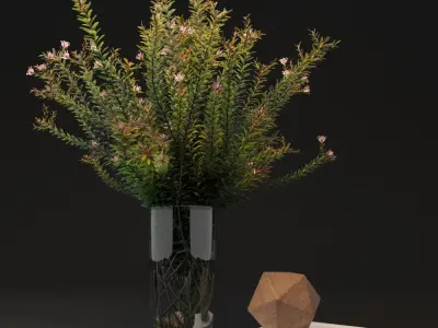 decorative set plant in vase 3D Model Collection