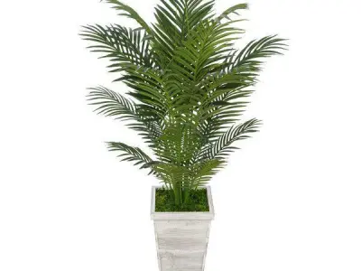 Artificial Floor Areca Palm Tree in Planter 3D model
