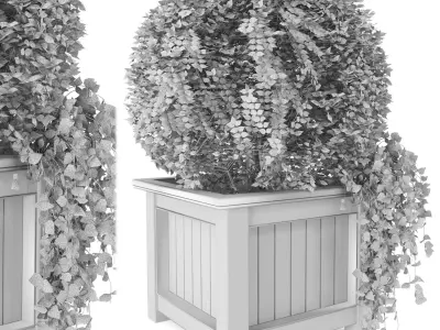 Outdoor Plants in Wooden Pot - Set 34  3D model