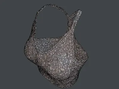 NIKE WOMEN SPORT TOP PBR Low-poly 3D model