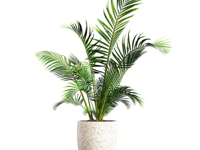 intdoor plants set 01 3D model