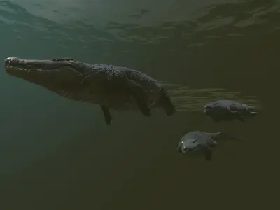 Realistic Crocodile - Alligator Low-poly 3D model