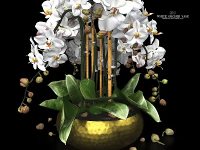 Collection of bouquets vases flowers 01 3D model