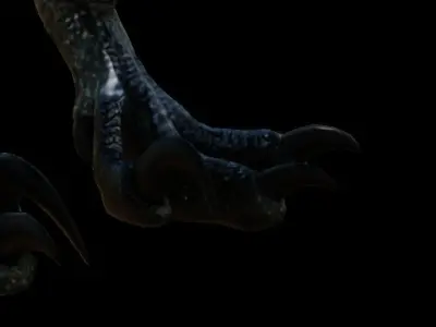 Blue 3d model  dinsaur rig for blender 3D model