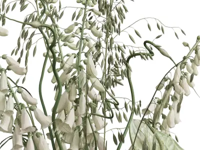 Flower In Vase 107 3D model