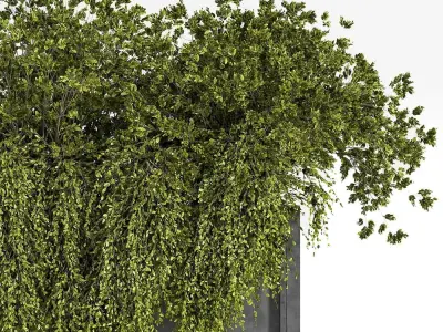 indoor plant set 07 3D model