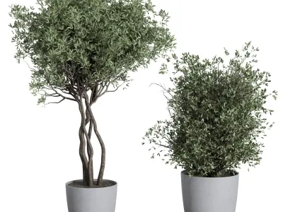 outdoor plant set 156 plant tree palm bush concrete dirt vase Low-poly 3D model