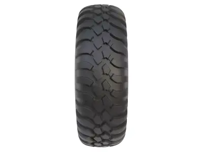 Tire 22 3D model