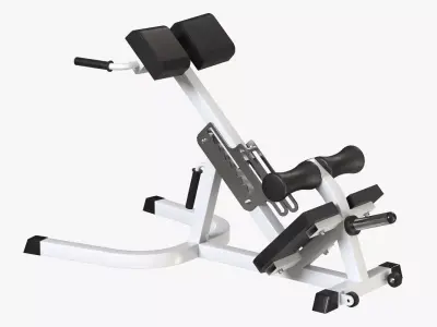 Hyperextension exercise machine 3D model