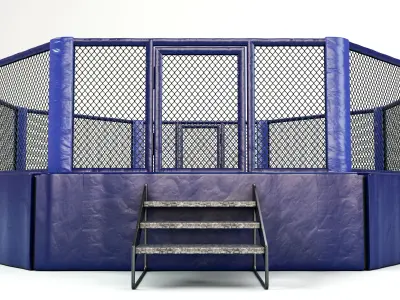 Mixed Martial Arts Octagon Arena 3D model