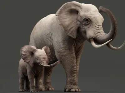 Elephant and Baby Elephant Animated 8K Low-poly 3D model