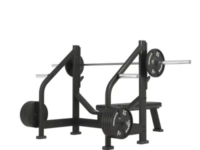 Bench Press 3D model