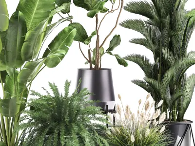 Houseplants in a rust flowerpot for the interior 996 3D model