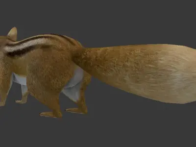 Squirrel chipmunk Low-poly 3D model