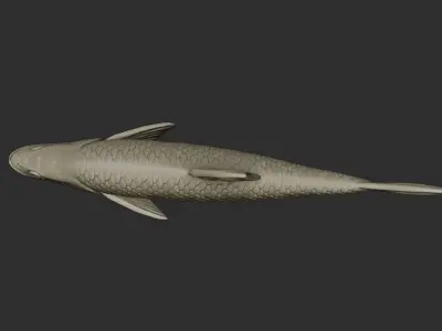 Asp - fish for easy printing 3D print model