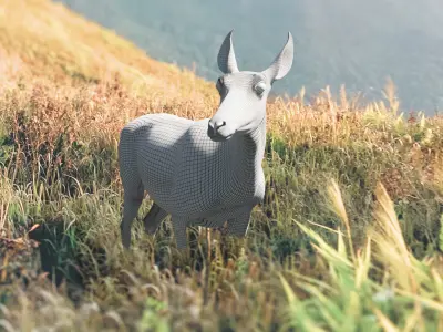 Pronghorn Female Animated 3D model