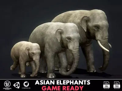Asian Elephants - GameReady Low-poly 3D model