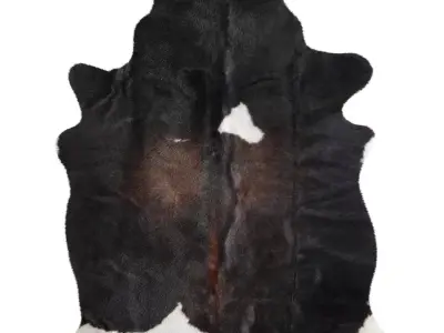 Black and White Cowhide Rug 3D model