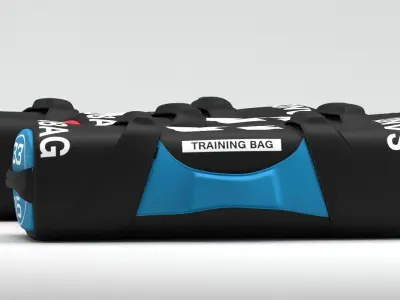 Gym Equipment Sandbag 3D model