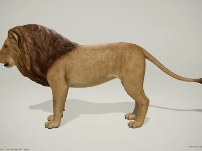 3D Lion and Lioness - Game Ready PBR Low-poly 3D model