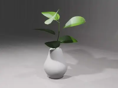 Decorative Plants 3D model