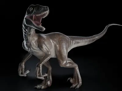 Velociraptor dinosaur Low-poly 3D model