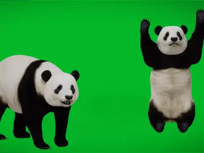 Giant Panda Bear Low-poly 3D model