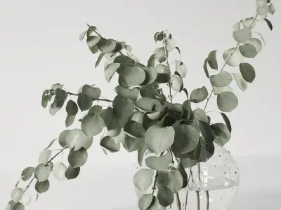 Eucalyptus bouquet 3D model