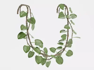-Liana Plant V3- 3D model