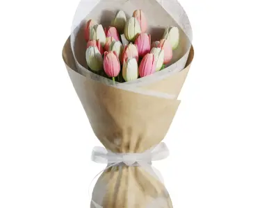 Flower Set 20 - Pink and White Tulips Bouquet 3D model