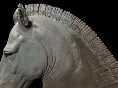 Horse Head Medici Riccardi 3D model