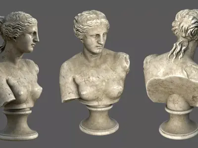 Venus de Milo Bust Classical Marble Sculpture 3D model