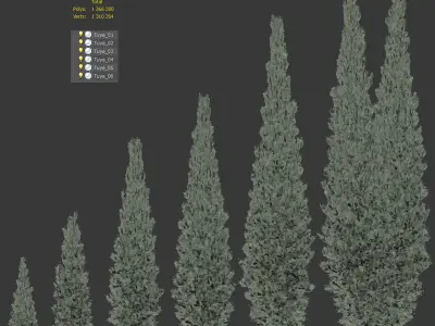 Thuja - Set of 6 models 3D model