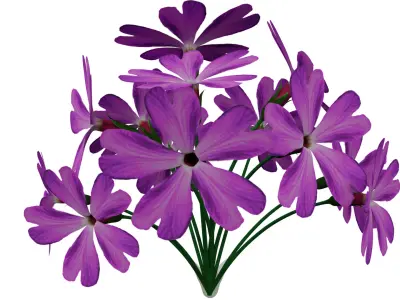 Violet Flower 3D model