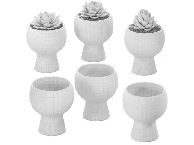 Flower Me Happy Pots 02 3D model