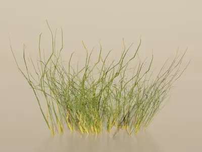 Realistic Grass Pack For Games Free low-poly 3D model