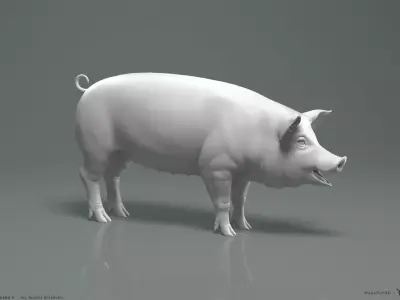 Pig - Highpoly Sculpture 3D model
