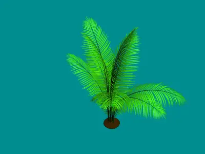 Low Poly Palm Plant - Tropical Decor Model Low-poly 3D model