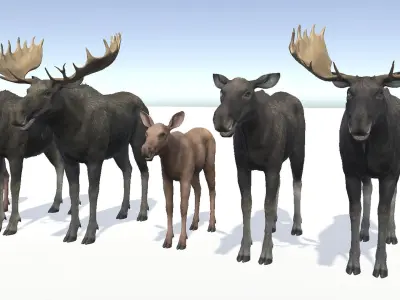 MOOSE FAMILY Low-poly 3D model