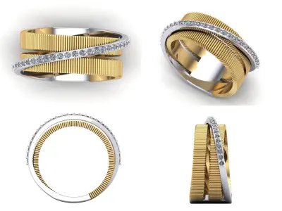 Ring bi67 3D print model