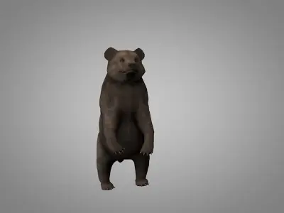 Grizzly Bear Low-poly 3D model shop