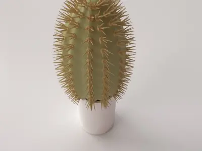 Cactus with spikes in pot 3D model