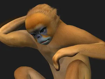 Monkey-A1 3D model