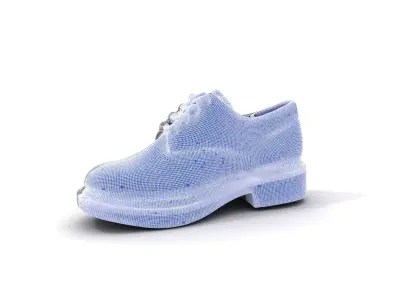 Elegant Leather Shoe model pack Texture