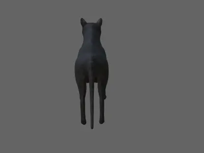 Black Cat - Low and High Detail - Gato Preto Low-poly 3D model