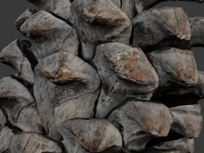 Pine Cone 3D Scan Low-poly 3D model