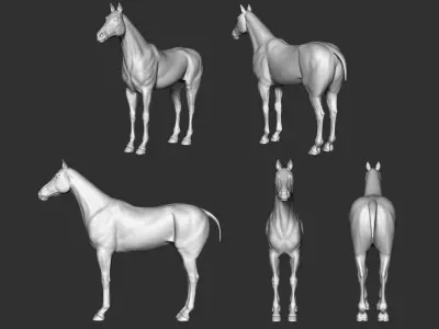 Horse 3D model Low-poly 3D model