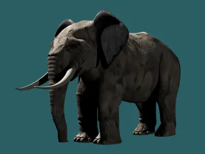 Elephant 3D model with tusks Low-poly 3D model